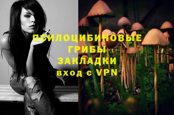 мескалин Бородино