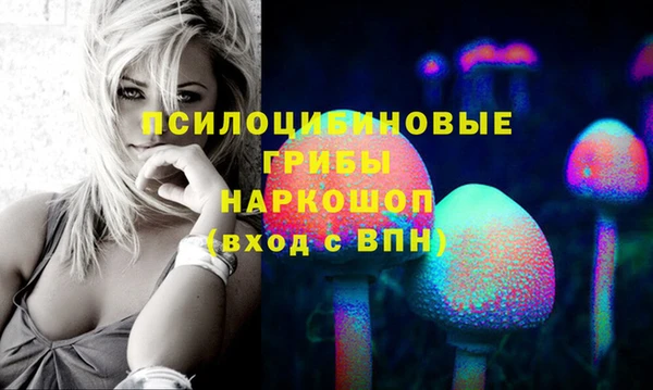 дмт Бугульма