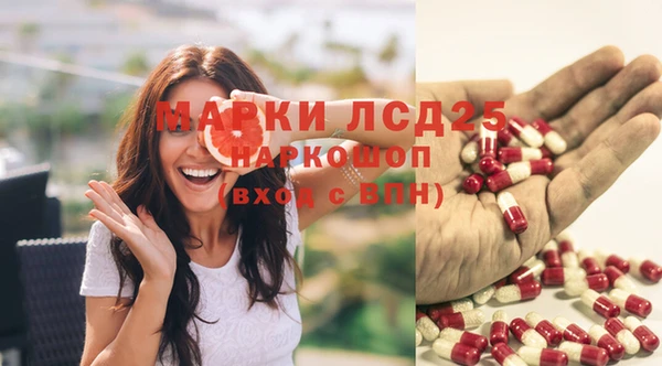 тгк Бронницы